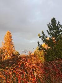 Участок 11.0  соток, Волково д.