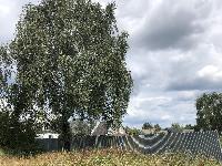 Участок 19.0  соток, Ногинск г.