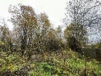 Участок 21.6  соток, Язвище с.