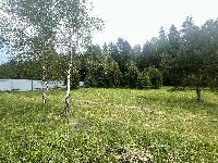 Участок 14.0  соток, Следово д.