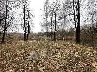 Участок 29.0  соток, Видное г.