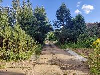 Участок 38.0  соток, Новогорск-1 снт