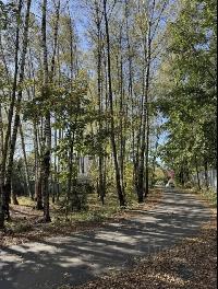 Участок 6.0  соток, Лесные Поляны снт