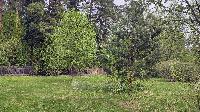 Участок 13.7  соток, Зимогорье д.