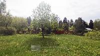 Участок 13.7  соток, Зимогорье д.