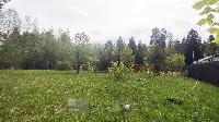 Участок 13.7  соток, Зимогорье д.