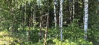 Участок 8.0  соток, СПК Могутово-4 тер.