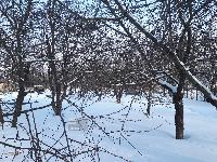 Дом 240.0  м2, Кривцы с.