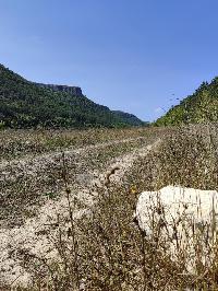 Участок 172.0  соток, Баштановка с.