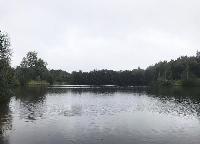 Дом 57.0  м2, Васильчиновка тер. СНТ