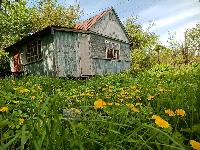 Дом 32.0  м2, Тула г.
