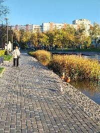 38.3  м2, Москва