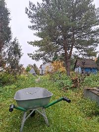 Участок 28.0  соток, Писково д.