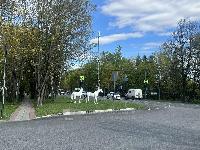 Участок 13.3  соток, Успенское с.