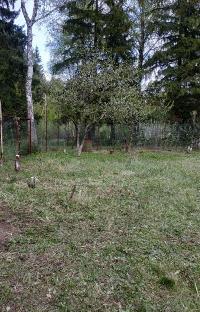 Участок 4.0  соток, НИИ Радио п.