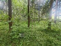 Участок 12.2  соток, КИЗ Зеленая роща-1 тер.