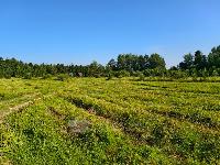 Дом 64.0  м2, Луч Снт