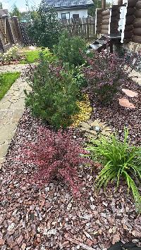 Дом 120.0  м2, Ядромино д.