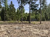 Участок 6.7  соток, Селятино д.