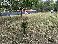 Участок 15.0  соток, ДСК Островка тер.