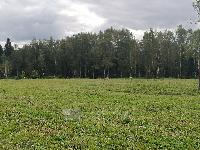 Участок 8.6  соток, Дубровское д.