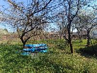 Участок 10.0  соток, СНТ им. Тимирязева тер.
