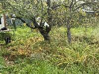 Участок 6.0  соток, Крёкшино д.