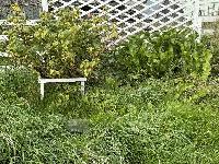 Участок 6.0  соток, Крёкшино д.