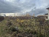 Участок 6.0  соток, Акиньшино д.