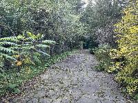 Участок 8.0  соток, Анкудиново д.