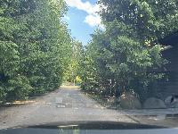 Участок 14.0  соток, Новоглаголево д.