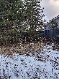 Участок 8.2  соток, Минино д.