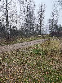 Участок 30.0  соток, Трошково д.