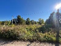 Участок 80.5  соток, Егорьевск г.