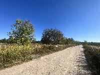 Участок 80.5  соток, Егорьевск г.