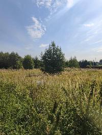Участок 5.0  соток, Гжель п.