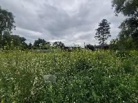 Участок 14.0  соток, Жуковский г.
