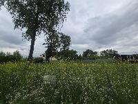 Участок 14.0  соток, Жуковский г.