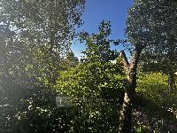 Участок 8.0  соток, Могутово д.