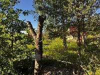 Участок 8.0  соток, Могутово д.
