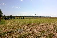 Участок 20.0  соток, Тишино д.