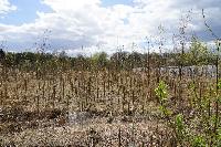 Участок 14.3  соток, Салтыковка мкр