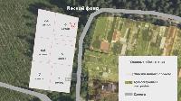Участок 6.0  соток, Восход снт