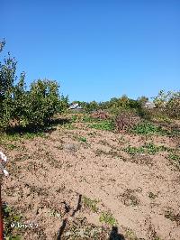 Участок 15.0  соток, Протасово д.