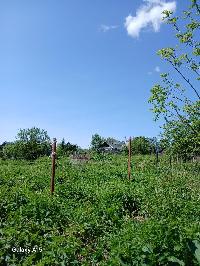 Участок 15.0  соток, Мытищи г.