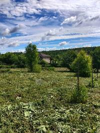 Участок 15.0  соток, Протасово д.