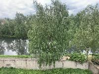 Коммерческая недвижимость 497.7  м2, Покровское д.