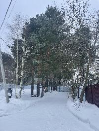 Участок 9.6  соток, Новошихово д.